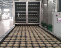 河南自熟粉絲機廠(chǎng)家哪家好？自熟粉絲機多少錢(qián)一臺？